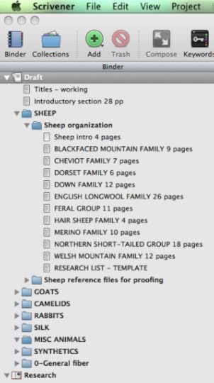 02-Scrivener 1-draft-overallorg