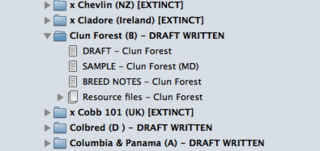 06-Scrivener 6