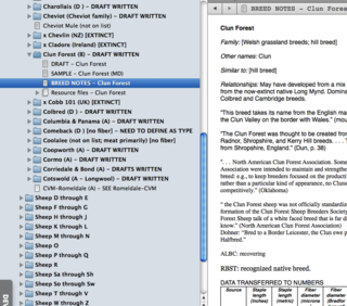 08-Scrivener 4-researchClun-breednotes