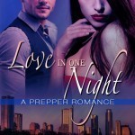 Love-In-One-Night-mockup