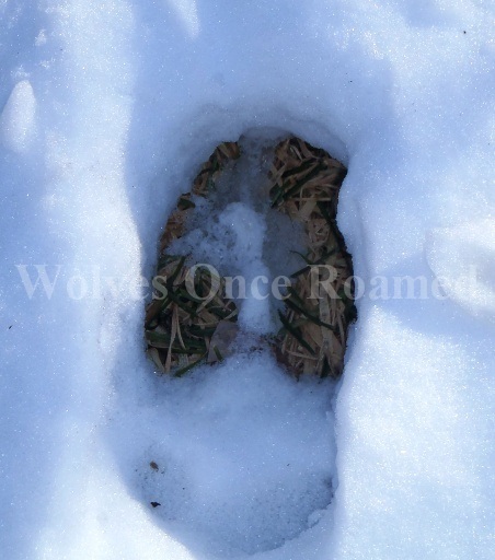 Click to visit the original post