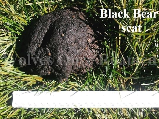 Click to visit the original post