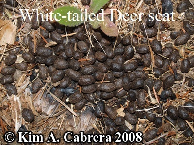 Click to visit the original post