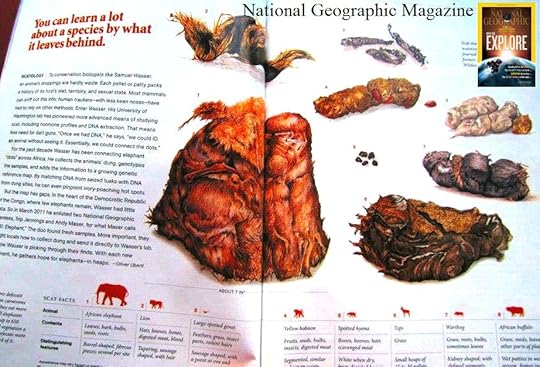 Click to visit the original post