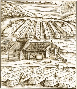 wood cut of saltpetre manufacture