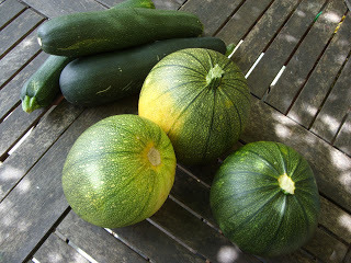 summer squash; zucchini