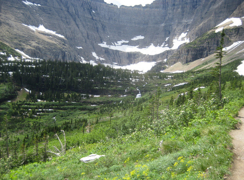 Trail to Iceberg Lake - Photo by GlacierGuyMT