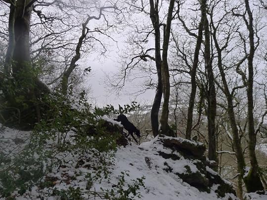 Snowmelt 2