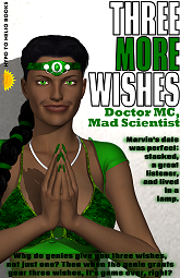 THREE MORE WISHES front cover