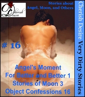 Cherish Desire: Very Dirty Stories #16, Angel's Moment, Angel, For Better and Better 1, Moon, Stories of Moon 3, Object Confessions 16, Max, erotica