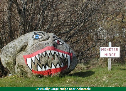 giant_midge_in_scotland
