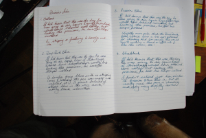 Diamine's Oxblood, Deep Dark Blue, Prussian Blue and Blue Black