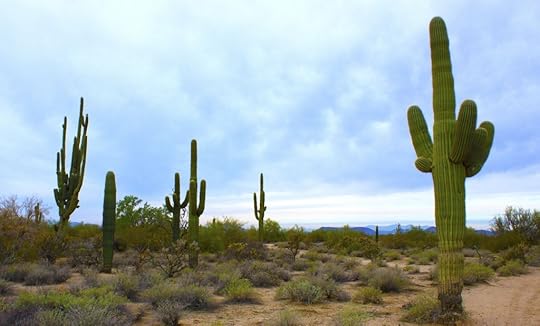 Excerpt from Murder Mystery Novel - Saguaro City