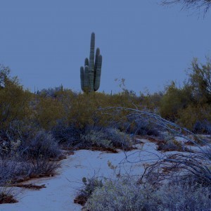 Settings for Mystery Stories