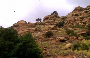 simi valley