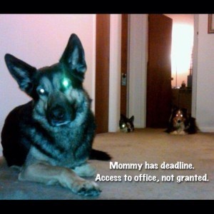 644215_492442797458707_1273731010_n