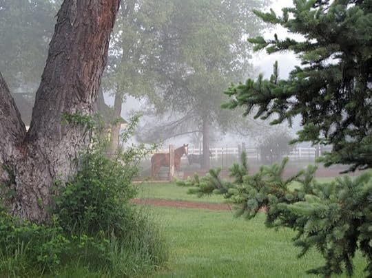 541562_10151313358953208_113193164_n