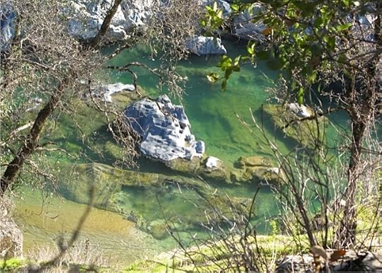 Mama Yuba before ...