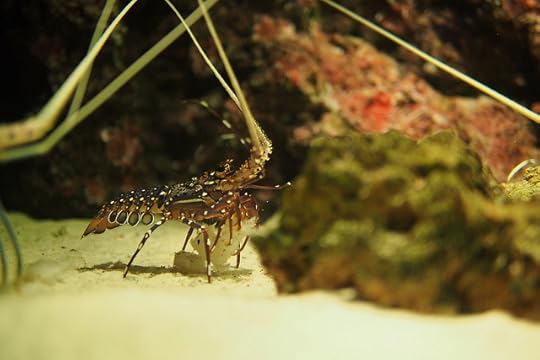 พานิทานไปเที่ยวสยามโอเชียนเวิลด์