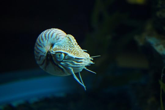 พานิทานไปเที่ยวสยามโอเชียนเวิลด์