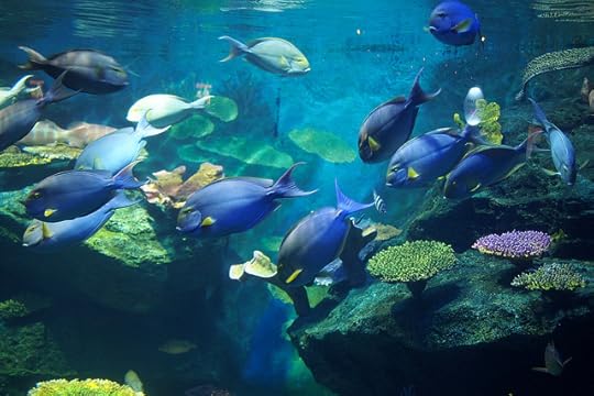 พานิทานไปเที่ยวสยามโอเชียนเวิลด์