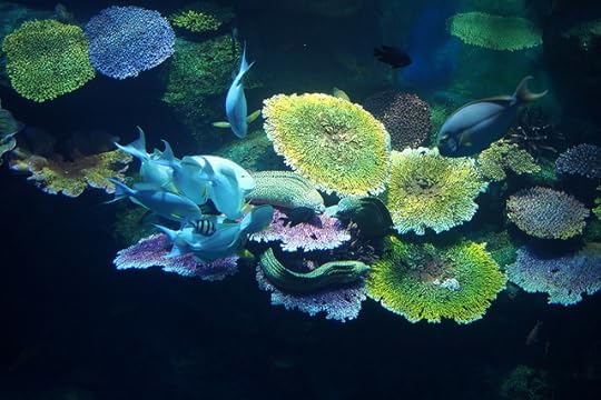 พานิทานไปเที่ยวสยามโอเชียนเวิลด์