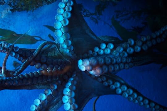 พานิทานไปเที่ยวสยามโอเชียนเวิลด์