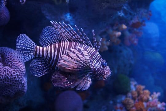 พานิทานไปเที่ยวสยามโอเชียนเวิลด์