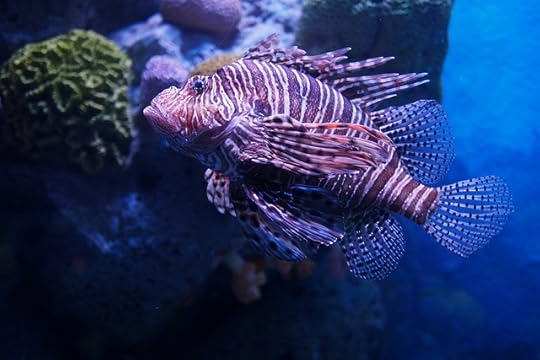 พานิทานไปเที่ยวสยามโอเชียนเวิลด์