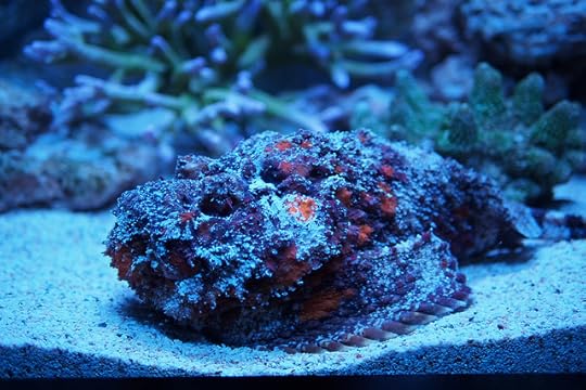 พานิทานไปเที่ยวสยามโอเชียนเวิลด์