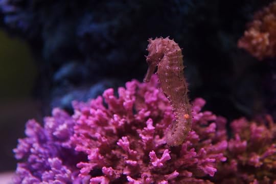 พานิทานไปเที่ยวสยามโอเชียนเวิลด์