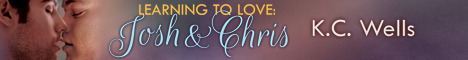 LearningtoLove-JoshandChris_headerbanner