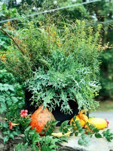 kale