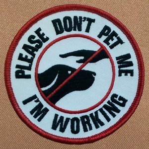 Don't Pet Me I'm Working - service dog patch