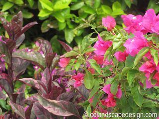 IMG_6770 - Version 2