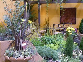 RomanHolidayMorrison-3