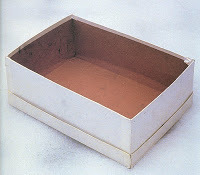 Empty Shoe Box