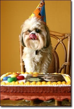 Happy birthday, Rusty