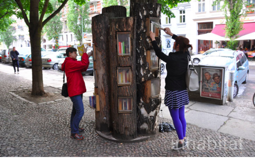 BookForest 500x311 Fusenews: Confessions of a syllabus addict