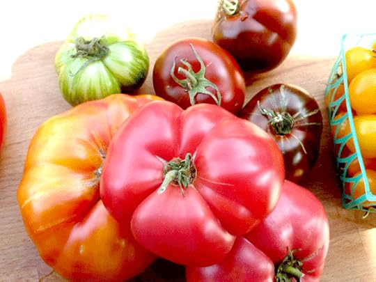 Assortment of heirloom tomatoes - mostly slicers