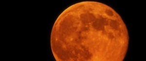 CORN MOON