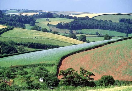 (Photo: Campaign to Protect Rural England)