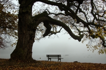 Autumn in Nymphenburg