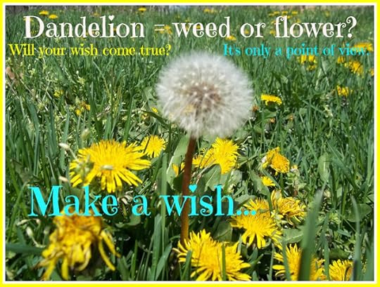 Make a wish on a Dandelion Parachute Kids inspirational sayings