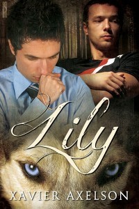 M/M Romance Book - Lily