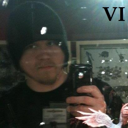 The VI Legion