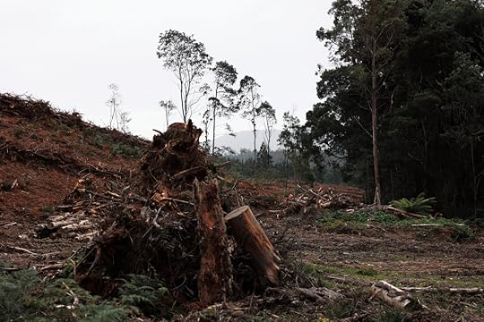 Abandoned Forestry land.