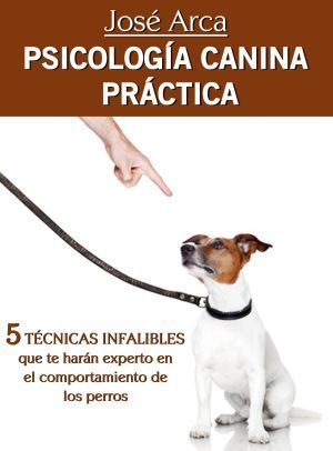 MASTER_CANINA_boceto02LR