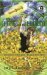 The Lens & The Looker (the Verona Trilogy, #1) by Lory S. Kaufman