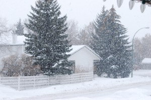 2013 Feb and Mar 058